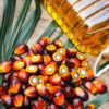 Palm Oils & Fats Products