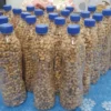 Aemo Foods