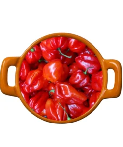 Ata rodo/hot pepper 300g