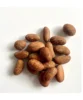 Bitter Kola - orogbo 6pcs