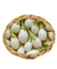 Garden egg/egg plant/yalo 1kg