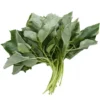 Fresh Vegetables