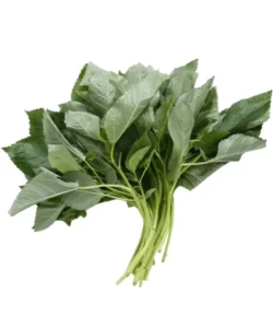 Fresh ewedu - bunch