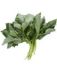 Fresh ewedu - bunch