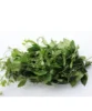 Fresh ugu - bunch