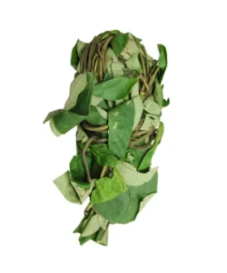 Fresh oha - bunch