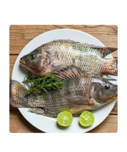 Whole tilapia descaled & gutted 5/8 - 5kg